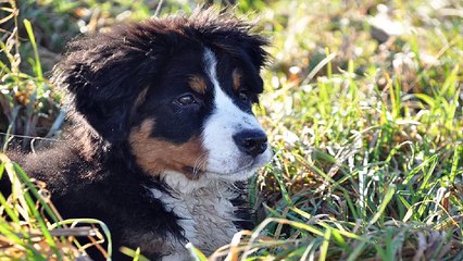 양산오피「아달」양산건마「양산휴게텔」