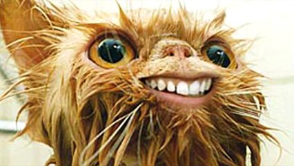 UNA OPERACIÓN EN REALIDAD VIRTUAL !! - Fernanfloo