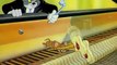 Tom and Jerry 029 - The Cat Concerto