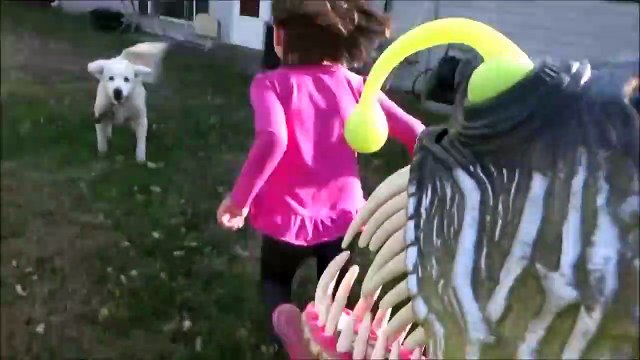 Angler Fish Attacks Girl Walking Her Dog 'Toy Freaks S