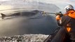 Scientists Attach 'Whale Cams' to Humpbacks to Track Feeding Habits in Antarctica