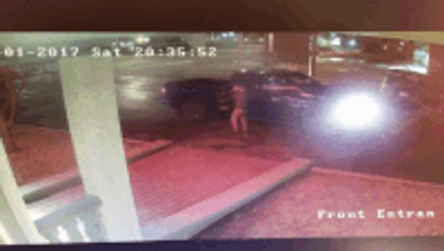 Deer Tackles Man in British Columbia