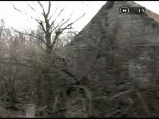 Land of the Wolves - Mesmerism