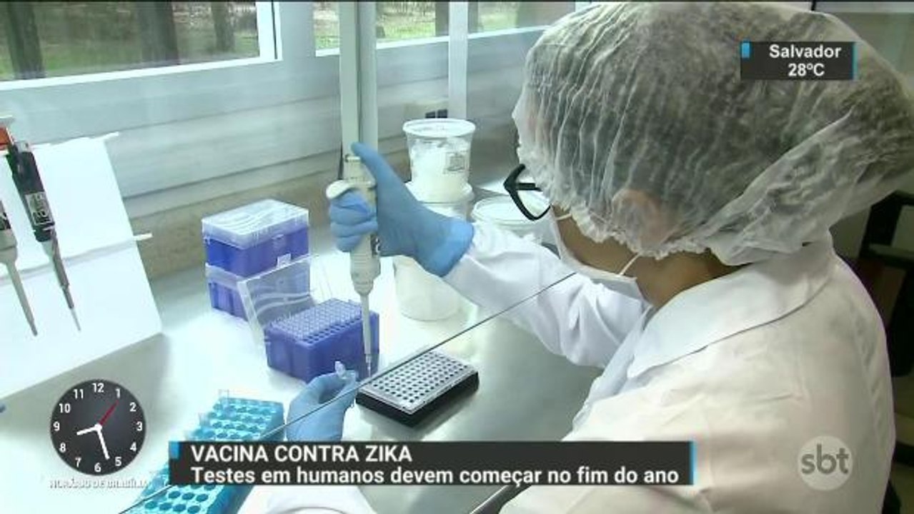Vacina contra zika mostra resultados animadores em testes com camundongos