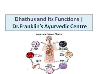 Dhathus and Its Functions  Dr.Franklin’s Ayurvedic Centre