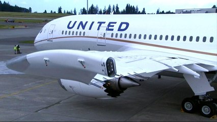 Calls for United Airlines boycott after removal of passenger
