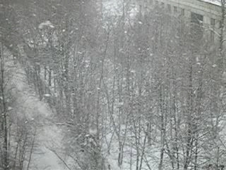 Pict0601
