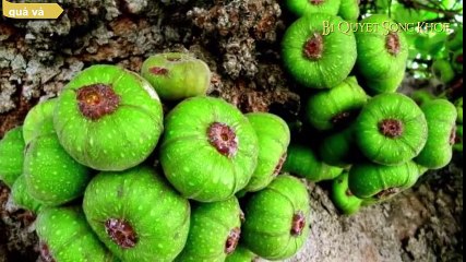 Đàn Ông Sung Mãn Gấp 100 Lần Chỉ Với 9 Loại Thực Phẩm Bán Đầy Ngoài Chợ Này