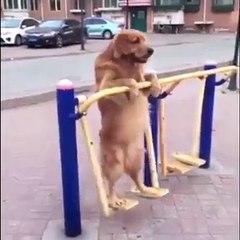 Petite session de gym