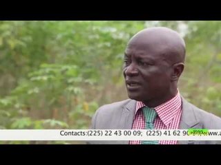 BRAVE PAYSAN I La transformation du manioc et les plantations clés en main