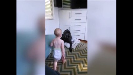 Ce bébé dégage le chien et prend sa place ... Thug baby