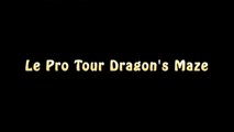 Nothing important - Troll - Pro tour Dragons Maasd