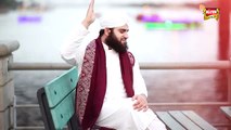 Naat-Hafiz Ahmed Raza Qadri - Khuda Ki Azmatain