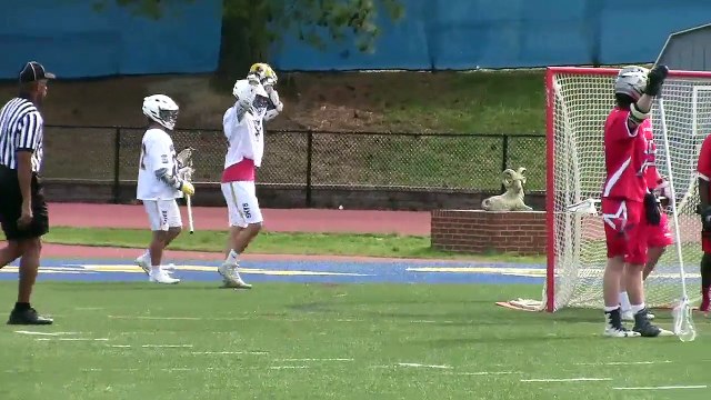 Robinson boys' lacrosse pulls away in the fourth quarter to defeat Northern