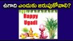 Ugadi - Tastes Of Life : Why do we celebrate Telugu New Year Ugadi, Significance - Oneindia Telugu