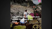 Bloquée dans les rochers, cette orque a été sauvée de justesse par des humains