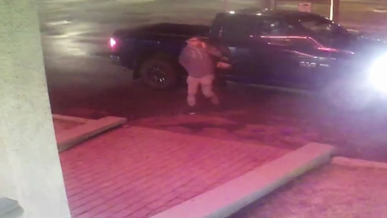 Un homme se fait percuter violemment par une biche