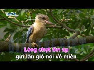 { Karaoke } Em Trong Mắt Tôi  - Nguyễn Đức Cường