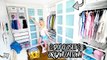 DIY CLOSET LIFE HACKS + ORGANIZATION!! Alisha Maries Closet Tour!!