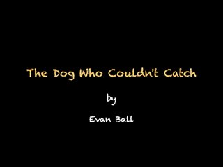 Fritz the Dog's Journey to Catching Food