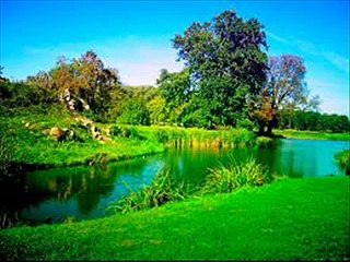 Настрои Сытина Улучшение мозгового и сердечного кровообращения