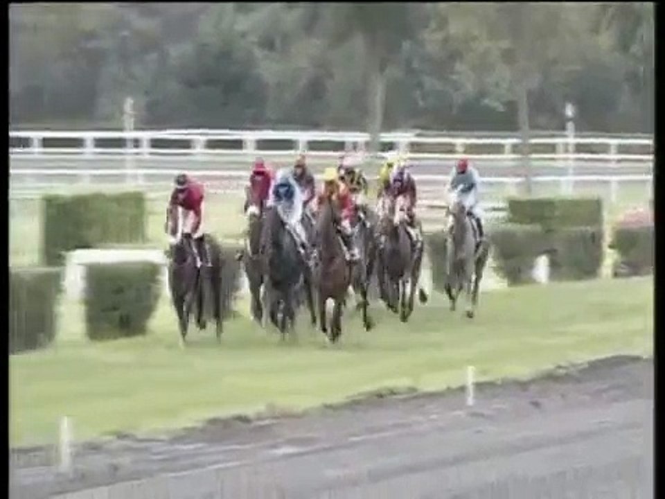 Une course hippique WTF