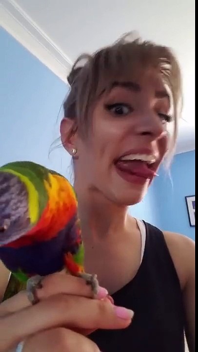 Un perroquet imite sa maîtresse