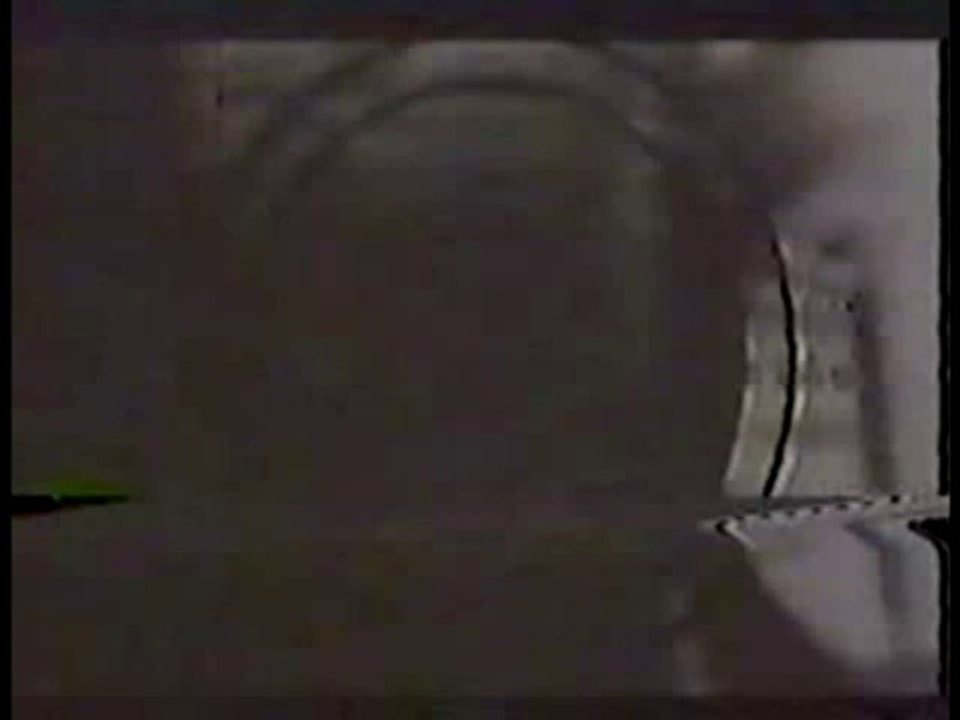 Skinny Puppy - Dal