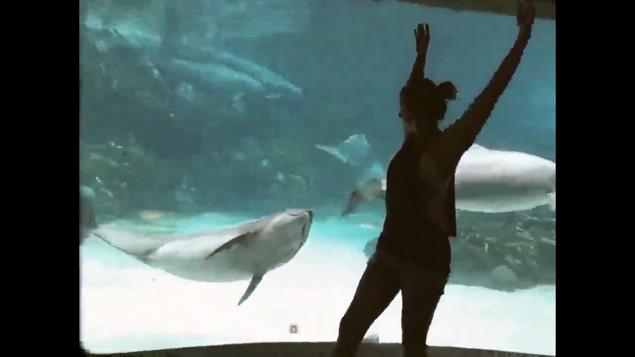 Dans Eden Kızı Gülerek Izleyen Yunus