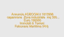 capannone  Zona industriale  mq 300...