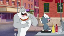 2017 Tom and Jerry توم وجيرى الجديد بالعربي