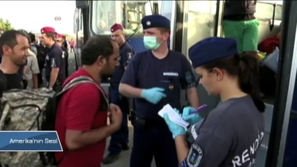 Prof. Weil: 'Uçuşa Yasak Bölge Bir Çözüm Olabilirdi'