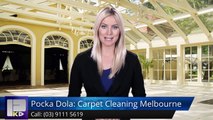 Pocka Dola: Carpet Cleaning Melbourne Doncaster TerrificFive Star Review by Federica F.