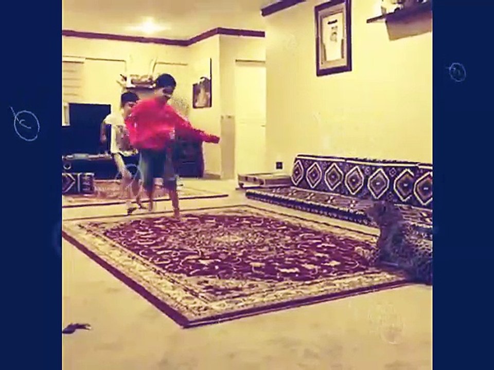 kids are playing with Tiger