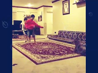 kids are playing with Tiger