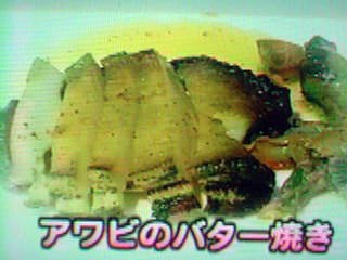 ニューうず潮　鳥羽市菅島