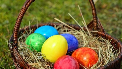 Disney's Belle and Pikachu Made of Peeps Battle It Out in Greatest Contest Ever