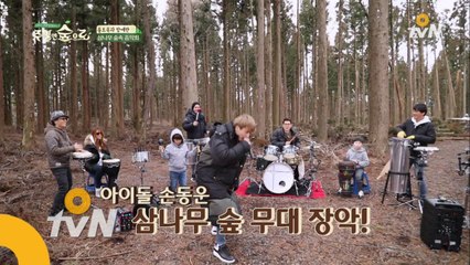 세 남자의 난생처음 삼나무 음악회!