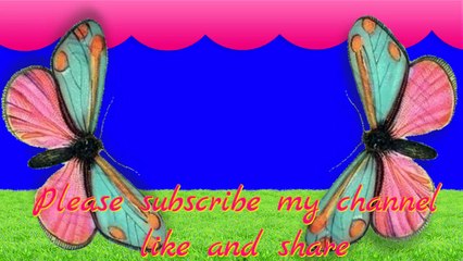 haq chaar yaar conference from 4 april 2017 bayan by syed muzaffar hussain shah