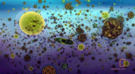 National Geographic Exlorer - Alaska's Last Oil