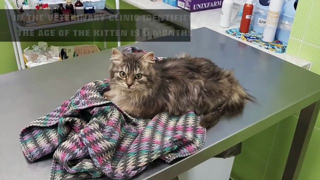 Ugledao je nešto smeđe smrznuto na putu kada je prišao bliže ostao zatečen prizorom