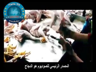 Poisoned Food Report - تقرير عن طعامنا المسرطن 2017