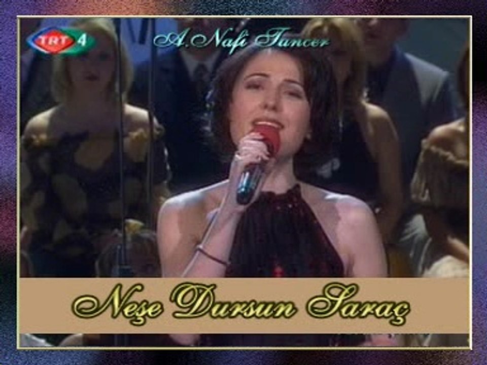 Neşe DURSUN SARAÇ - Geçsin Günler Haftalar Aylar Mevsimler Yıllar