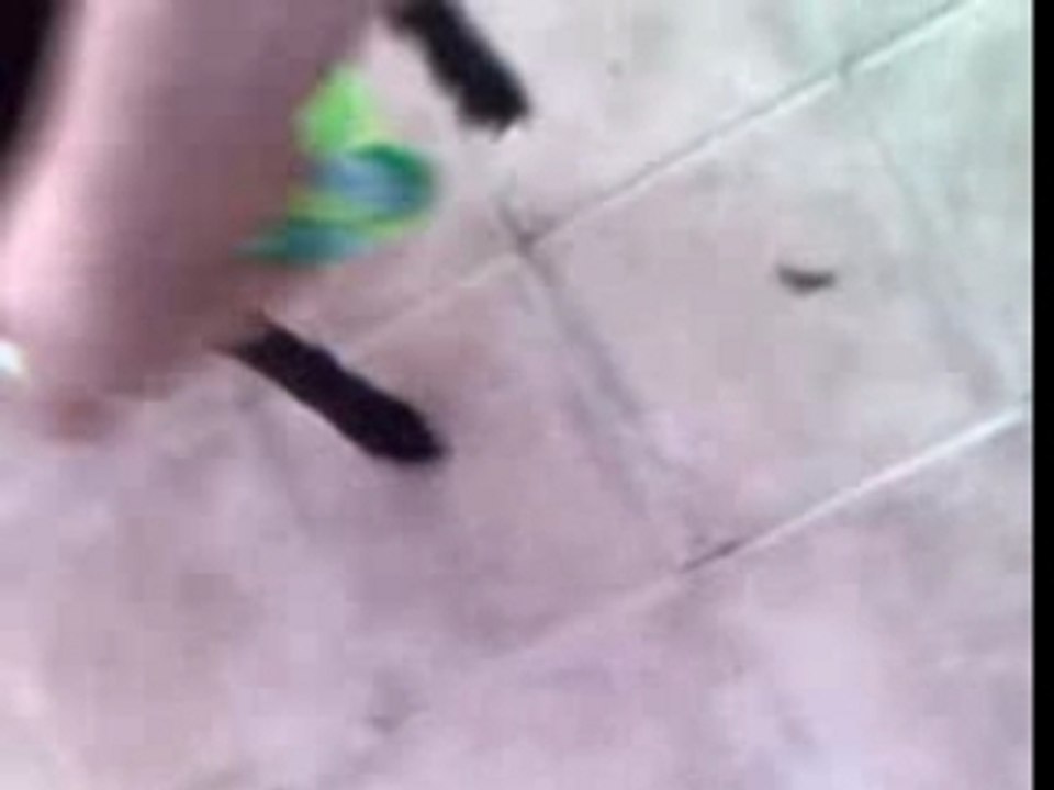 Nikita