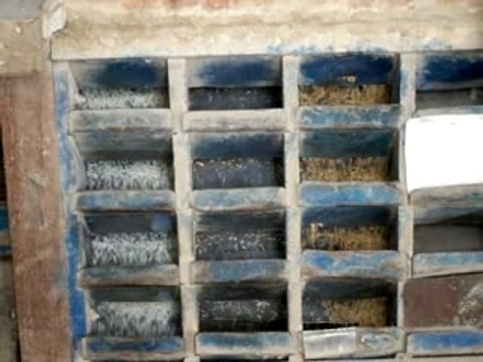 Battage mécanique du riz