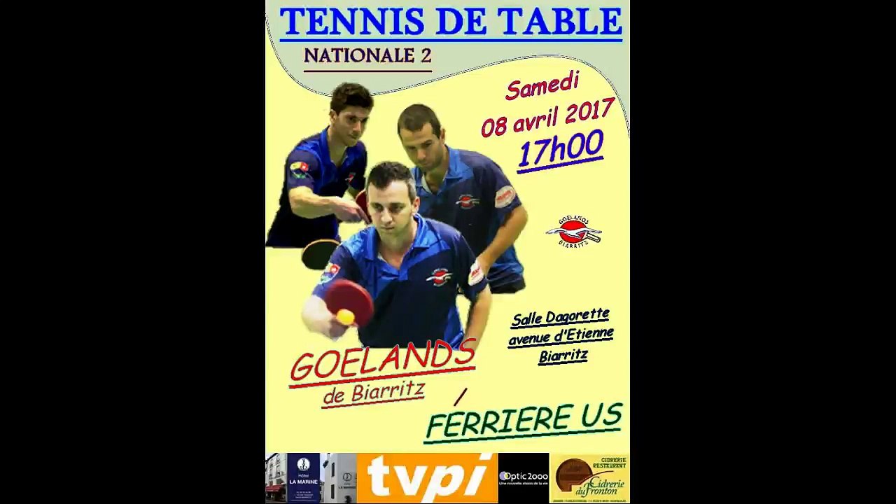 Goélands - La Ferrière - 04-2017