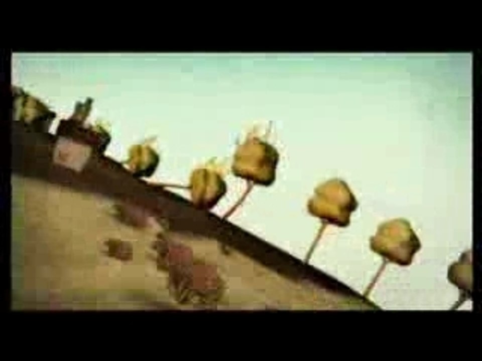 PLANETE DOMINO