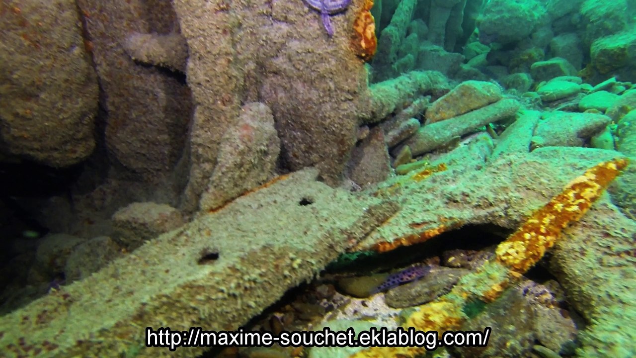 AUDIERNE-LE MICHEL FRANCOIS