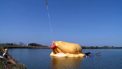 黃色小鴨_2度復活_1108