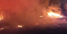 Wildfire Burns Along Hernando County Roadside